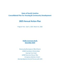 2025 Sc Action Plan Working Copy